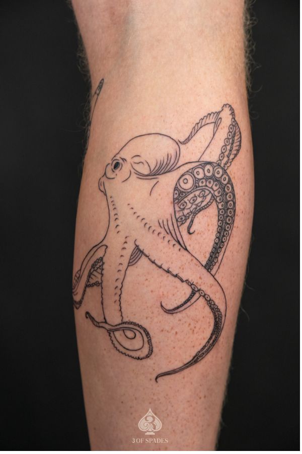 octoci