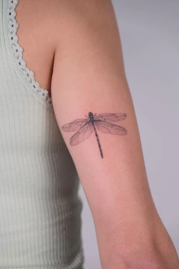 Dragonfly inner upper arm tattoo