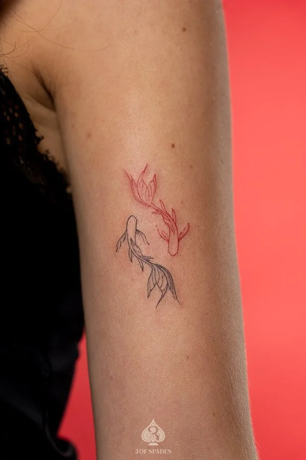 Black and Red Fine Line Koifish