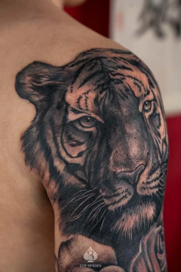 Blackwork Realism Tiger Tattoo | 3 of Spades Hanoi