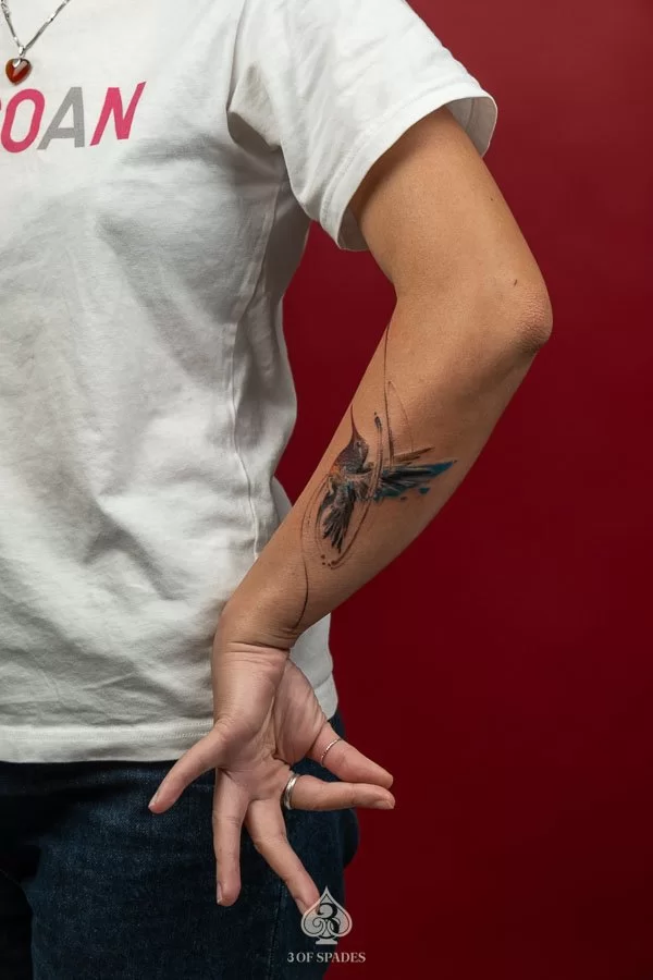 Colour Abstract Bird