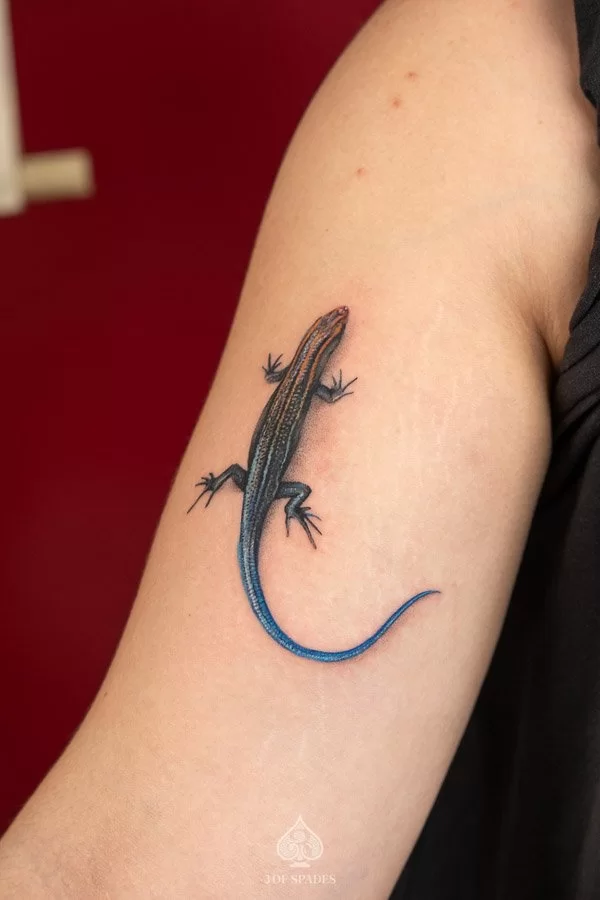 5 Mini Tattoo Fineline