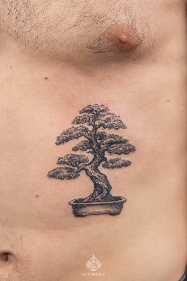 Realism Bonsai