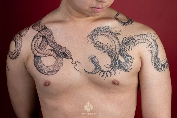 Snake And Skeleton Snake