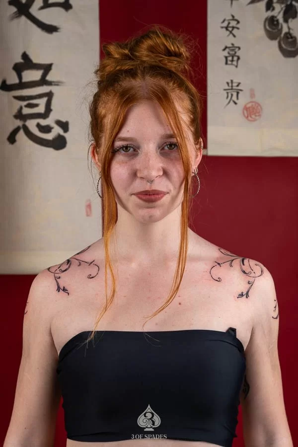 Abstract Shoulder Fence