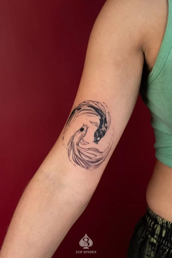 Yinyang Fish Abstract