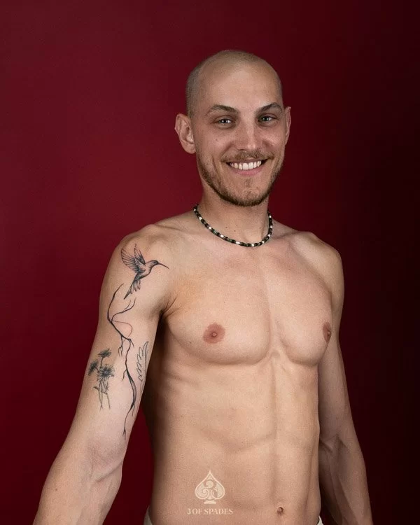 Humming Bird Abstract