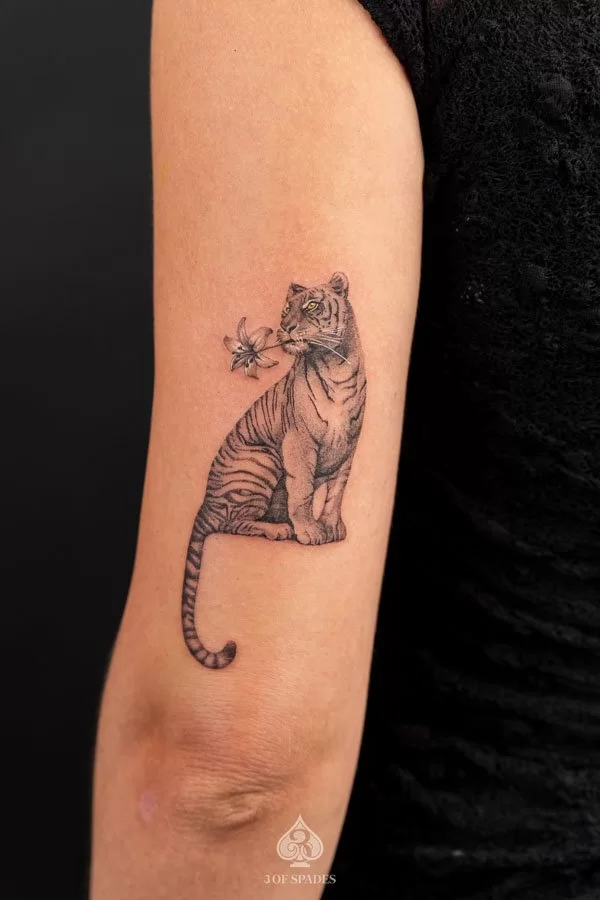 Tiger And Flower