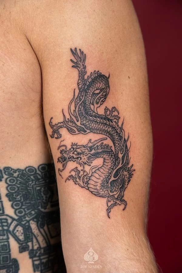 Dragon Tattoo 5