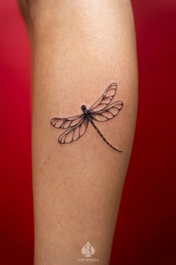 19. Insect