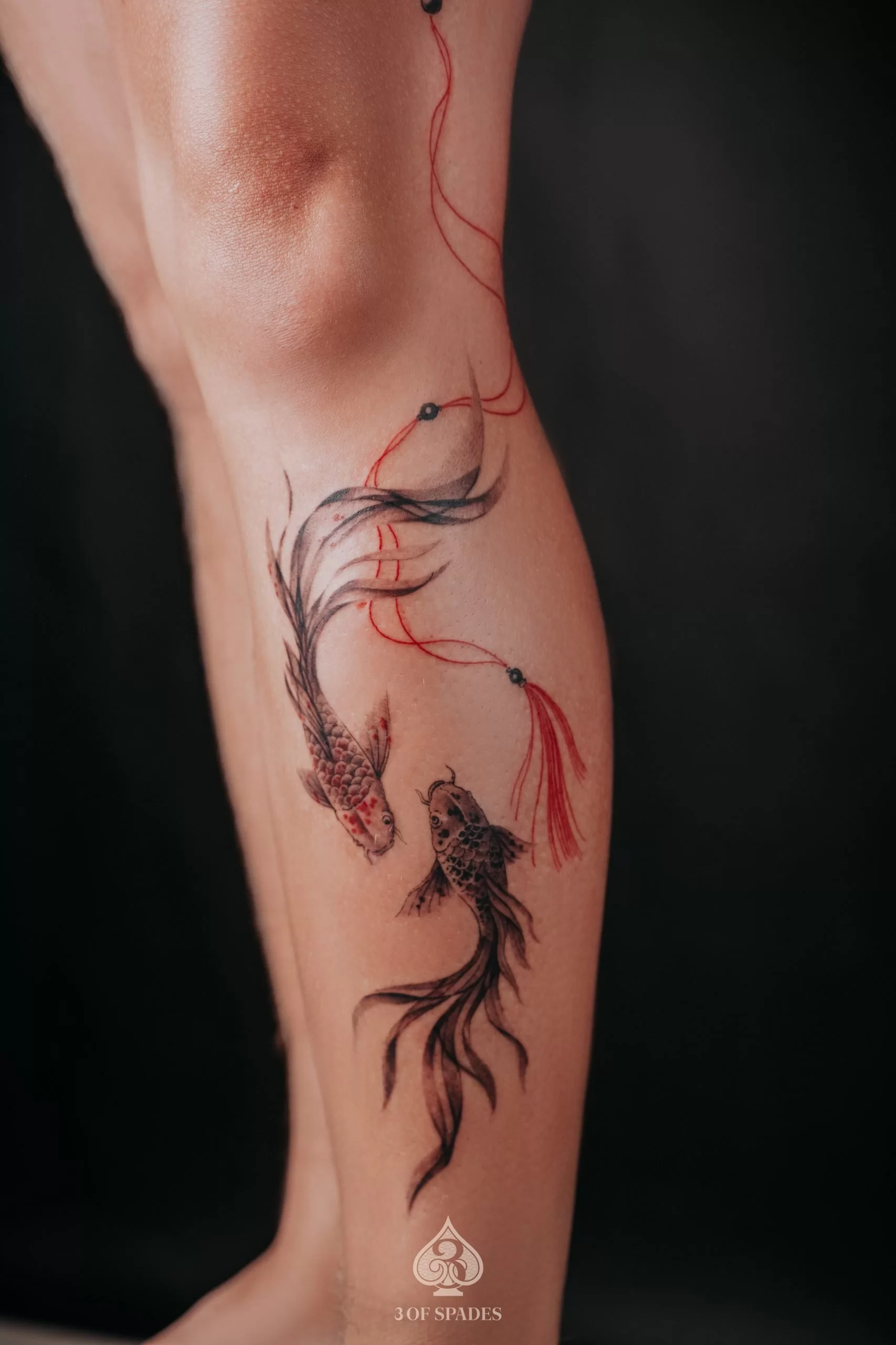 Japanese Koi Fish Tattoo Meaning: Perseverance, Transformation & Color Symbolism