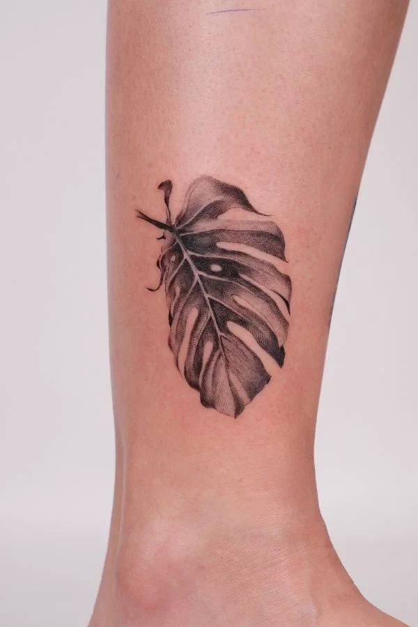 Realism Monstera Tattoo