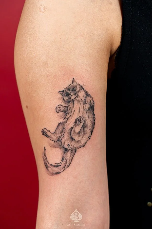 Sketchy Style Cat Tattoo