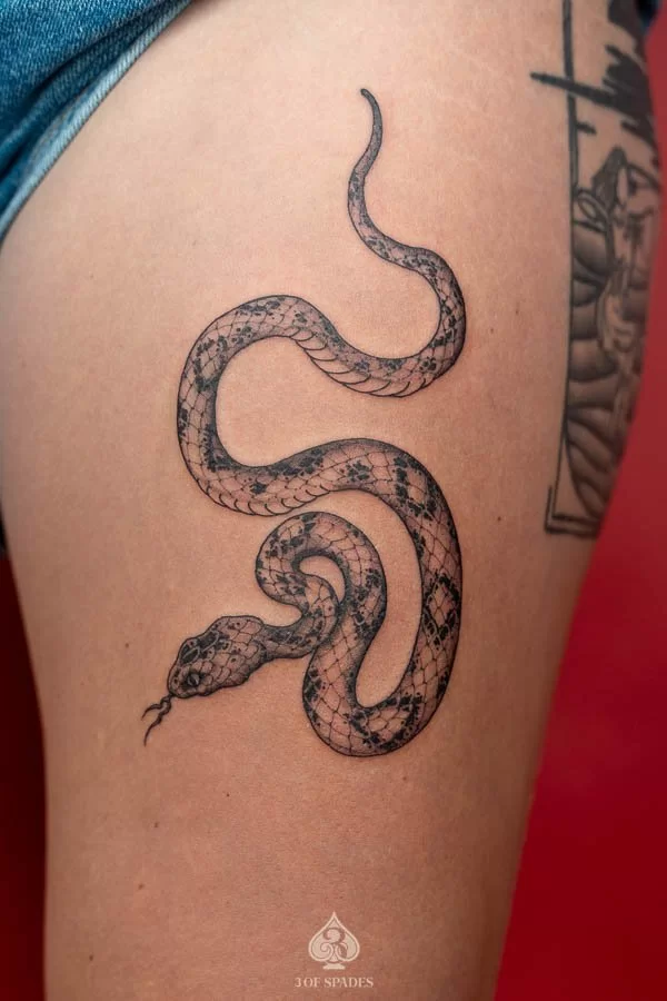 Snake Illustration Tattoo