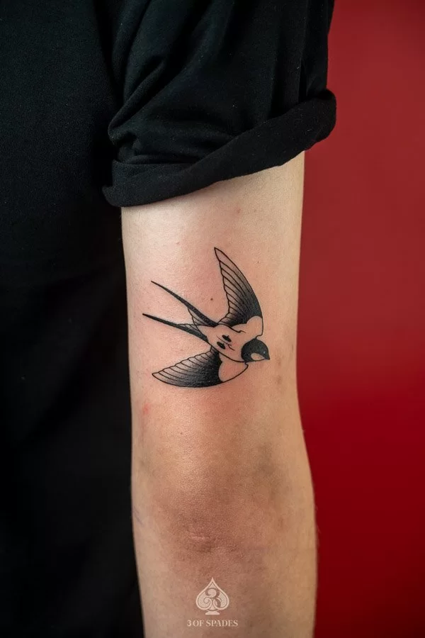 Swallow Tattoo