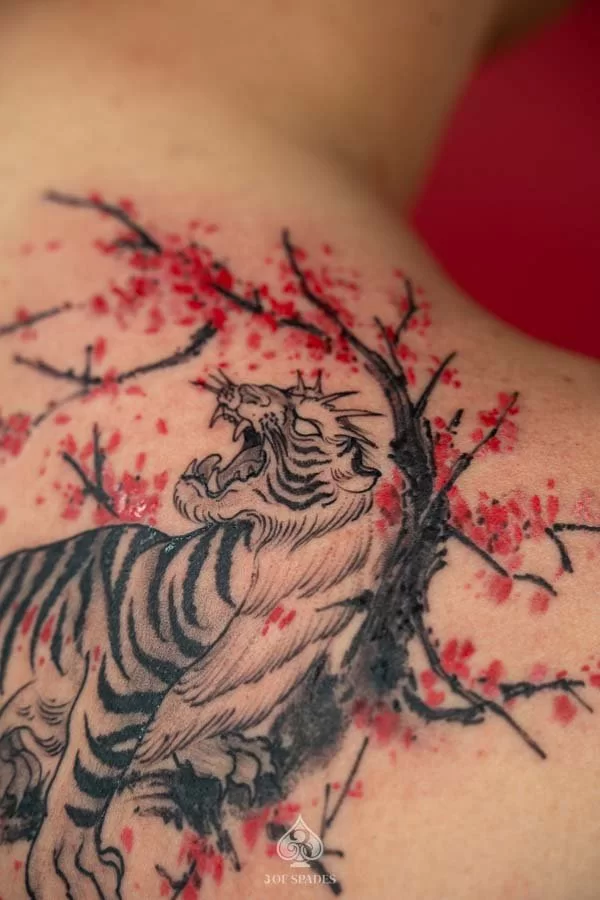 Tiger and Cherry Blossom Tattoo