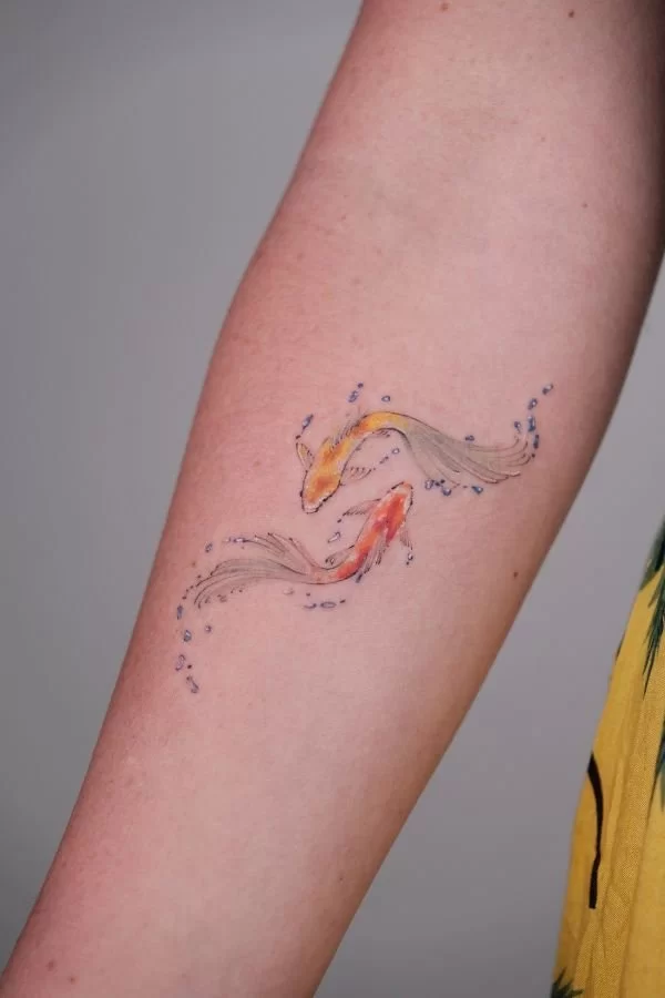 Yinyang Color Koi Fish