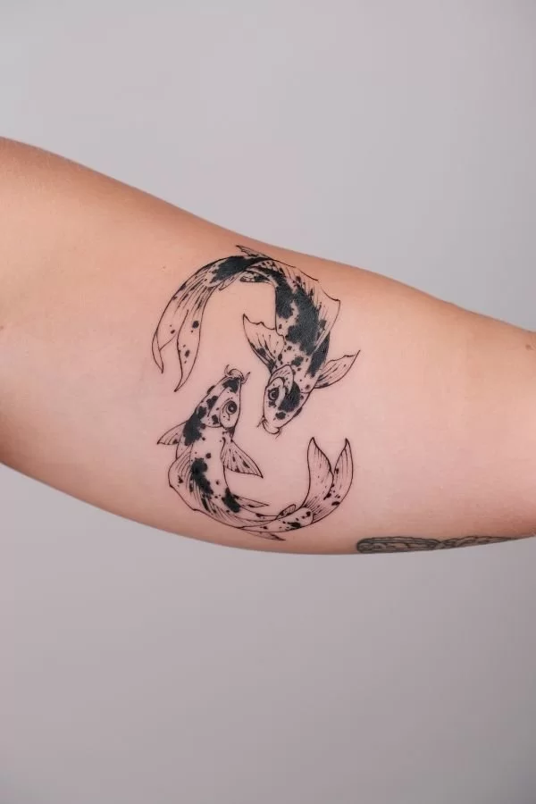 Yinyang Koifish 3