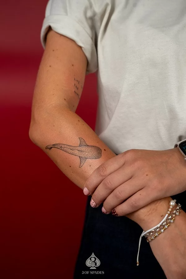 Mini Shark Tattoo