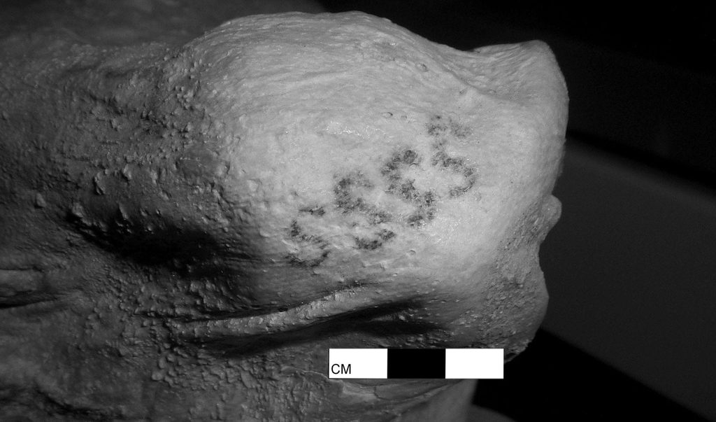 Were blackwork tattoo history appeared in ancient Egypt?